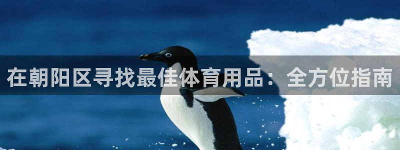 欧陆注册码：在朝阳区寻找最佳体育用品：全方位指南