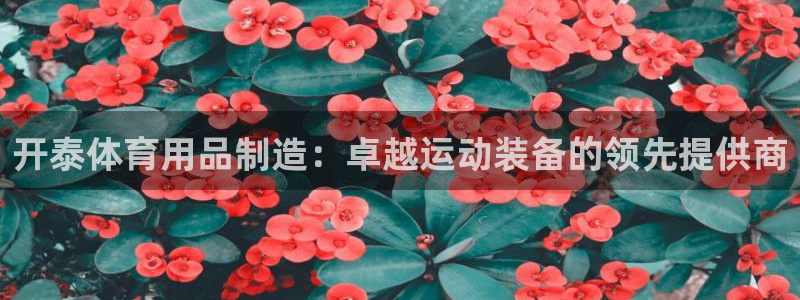欧陆娱乐代理多少个点位可以赚钱：开泰体育用品制造：卓