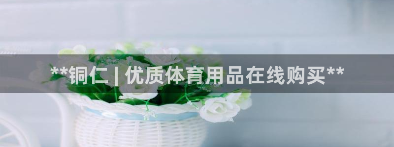 欧陆娱乐平台登录：**铜仁 | 优质体育用品在线购买