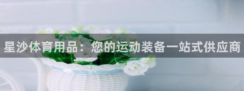 欧陆娱乐代理 贴吧怎么样：星沙体育用品：您的运动装备