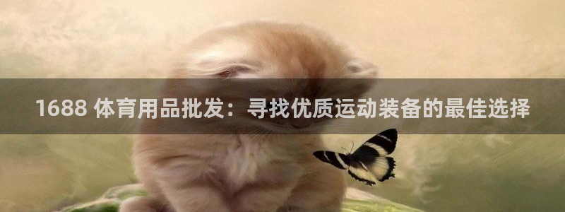 欧陆娱乐注册代理多少钱：1688 体育用品批发：寻找