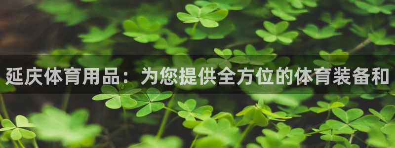 欧陆娱乐挂机项目：延庆体育用品：为您提供全方位的体育