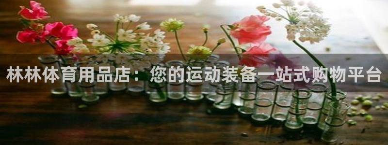 欧陆娱乐百科：林林体育用品店：您的运动装备一站式购物