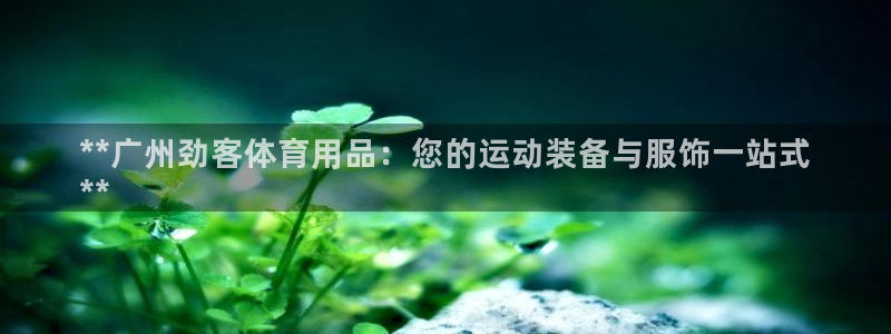 欧陆娱乐官方网站入口：**广州劲客体育用品：您的运动