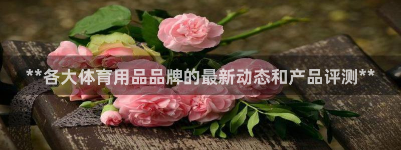 欧陆娱乐注册链接安全吗：**各大体育用品品牌的最新动