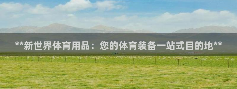 欧陆娱乐测试：**新世界体育用品：您的体育装备一站式