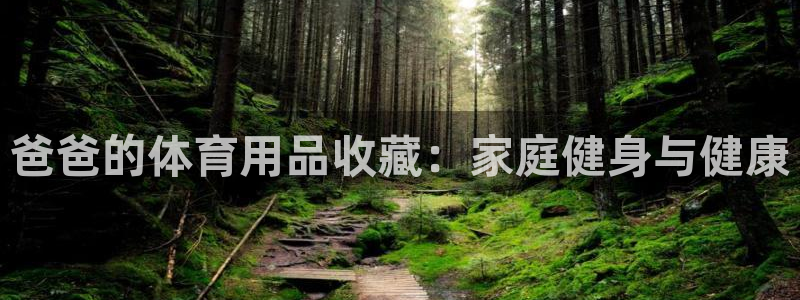 欧陆娱乐官网下载安装最新版苹果：爸爸的体育用品收藏：