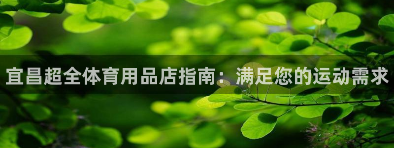 欧陆娱乐注册链接怎么弄出来：宜昌超全体育用品店指南：