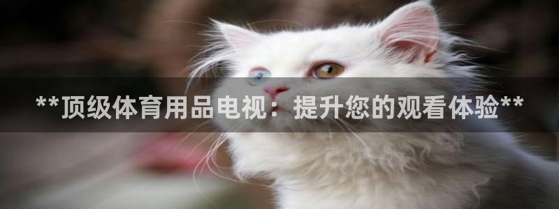 欧陆娱乐百科：**顶级体育用品电视：提升您的观看体验