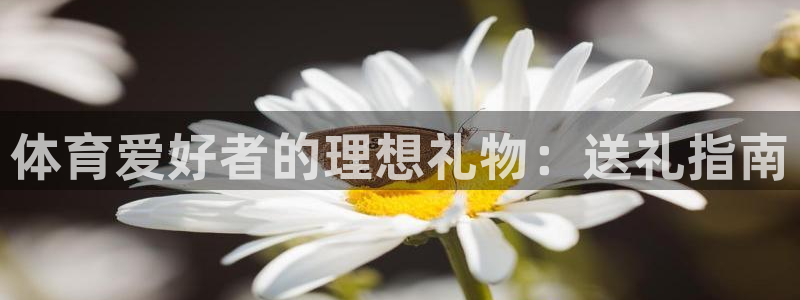 欧陆娱乐挂机怎么玩游戏：体育爱好者的理想礼物：送礼指