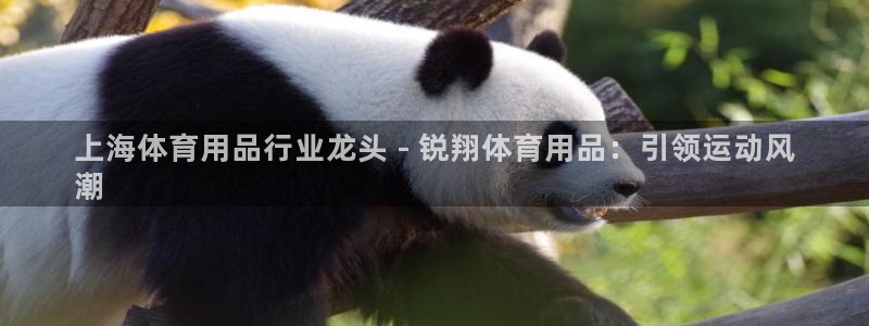 欧陆娱乐注册链接怎么弄的：上海体育用品行业龙头 - 