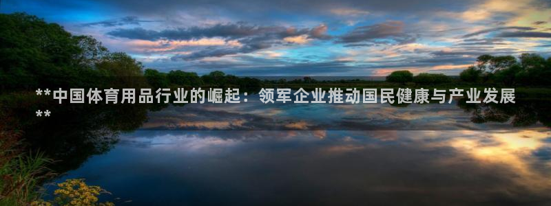 欧陆娱乐代理多少个点位可以赚钱：**中国体育用品行业