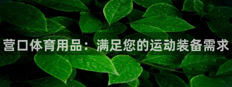 欧陆娱乐测速网站：营口体育用品：满足您的运动装备需求