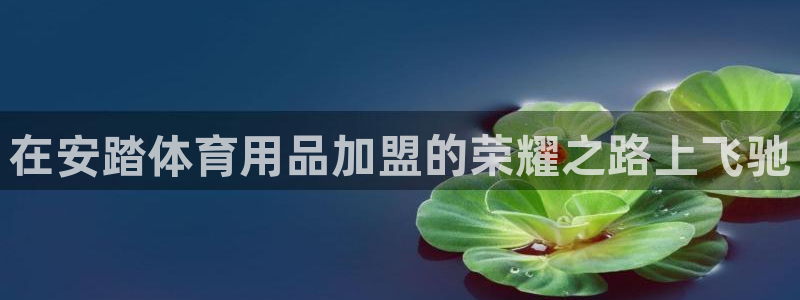 欧陆娱乐公司产品介绍怎么写：在安踏体育用品加盟的荣耀