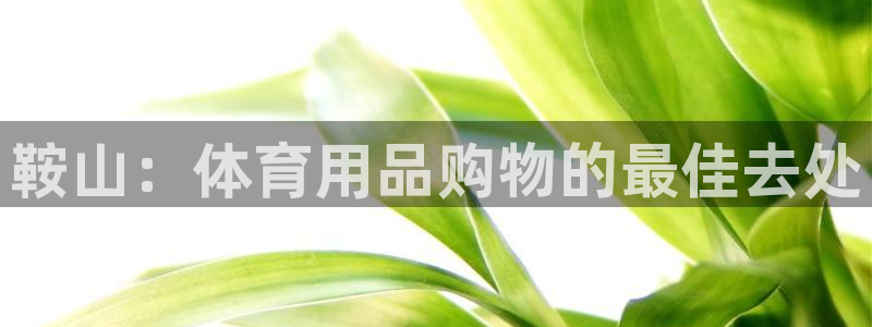 欧陆娱乐登录官网下载：鞍山：体育用品购物的最佳去处