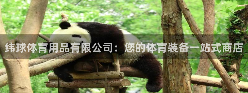 欧陆娱乐代理多少个点位可以赚钱：纬球体育用品有限公司