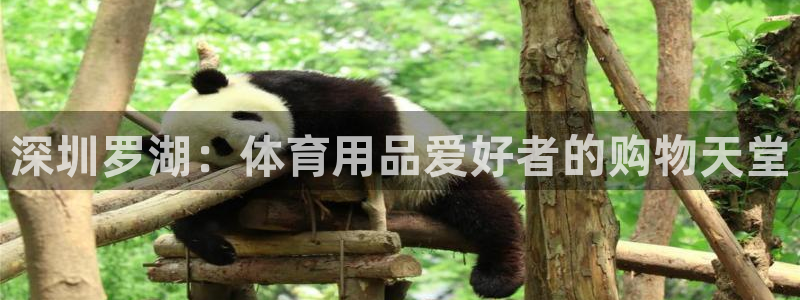 欧陆娱乐平台咋样啊赚钱：深圳罗湖：体育用品爱好者的购