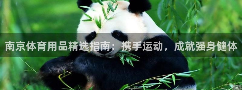 欧陆娱乐有限公司官网：南京体育用品精选指南：携手运动