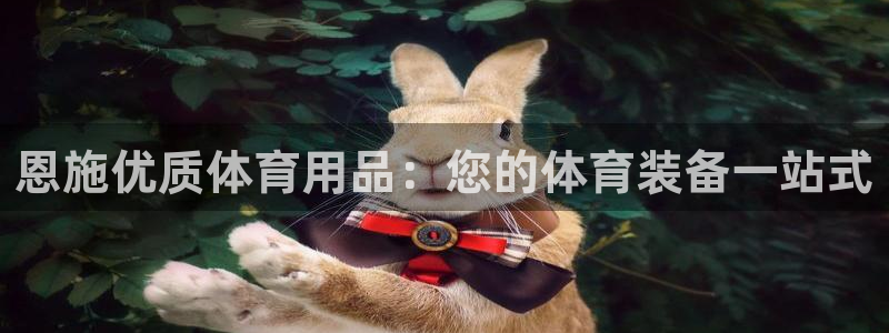 欧陆娱乐代理多少个点位：恩施优质体育用品：您的体育装