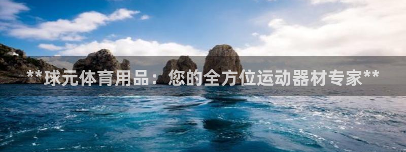 欧陆娱乐登录平台官网：**球元体育用品：您的全方位运