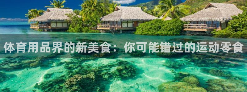 欧陆娱乐客服：体育用品界的新美食：你可能错过的运动零