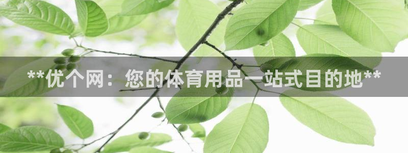 欧陆娱乐计划预测软件哪个好：**优个网：您的体育用品