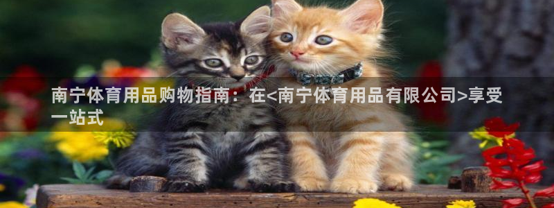 欧陆娱乐怎么注册会员号：南宁体育用品购物指南：在<南