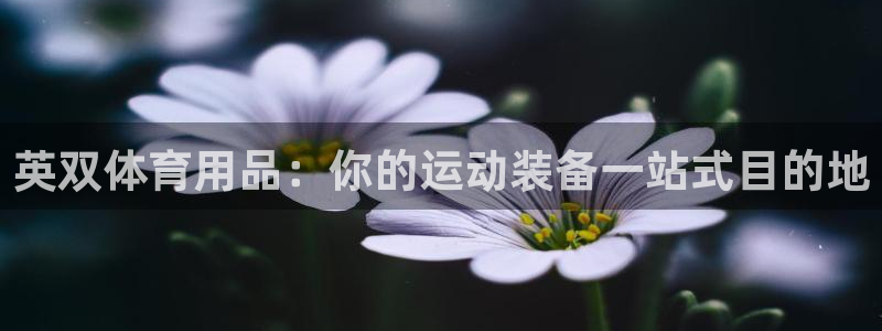 欧陆娱乐登陆平台有哪些：英双体育用品：你的运动装备一