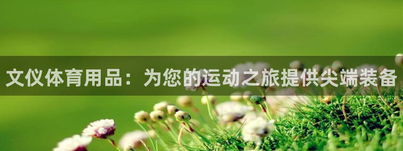 欧陆娱乐怎么注册帐号：文仪体育用品：为您的运动之旅提
