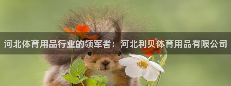 欧陆娱乐登录官网：河北体育用品行业的领军者：河北利贝