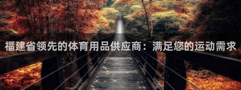 欧陆娱乐登录平台官网：福建省领先的体育用品供应商：满