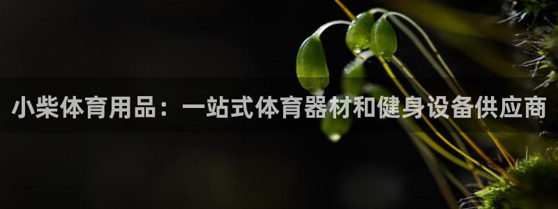 欧陆娱乐登录官网网址：小柴体育用品：一站式体育器材和