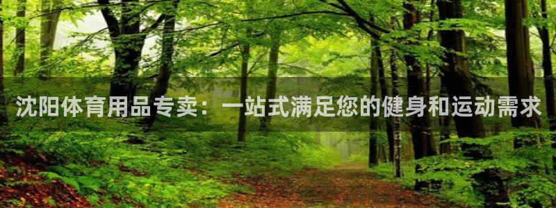 欧陆娱乐是资金盘吗：沈阳体育用品专卖：一站式满足您的