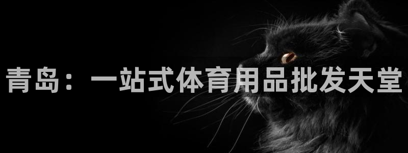 欧陆娱乐平台咋样啊：青岛：一站式体育用品批发天堂