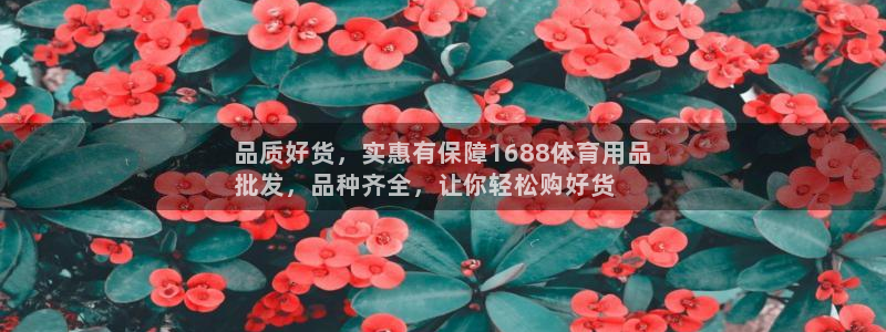 欧陆娱乐平台毕 (q—43314) 旨：品质好货，实