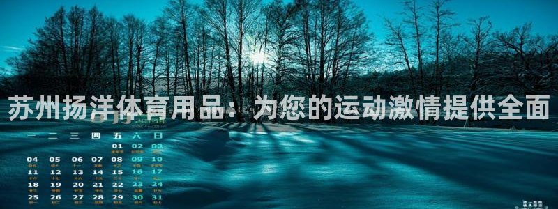 欧陆娱乐中国：苏州扬洋体育用品：为您的运动激情提供全