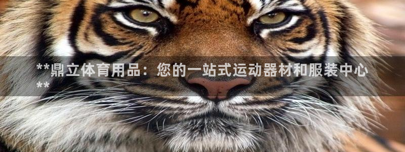 欧陆娱乐提现两百万：**鼎立体育用品：您的一站式运动