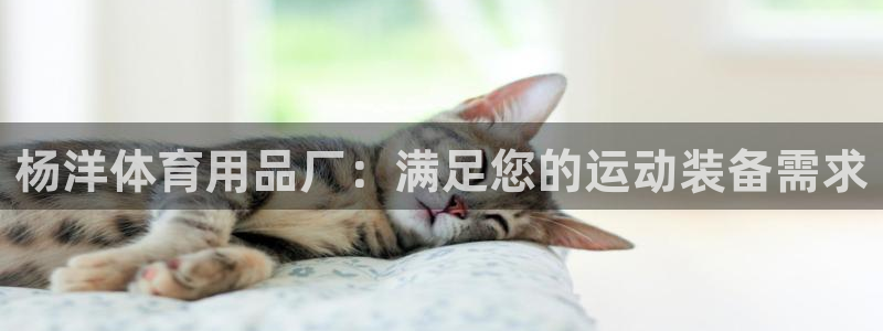 欧陆娱乐官方客服电话：杨洋体育用品厂：满足您的运动装