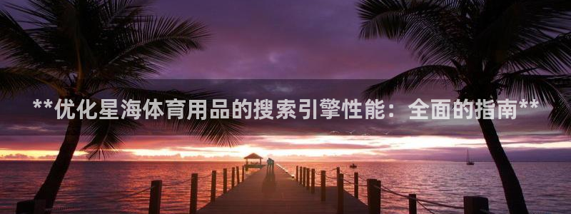欧陆娱乐脚本：**优化星海体育用品的搜索引擎性能：全