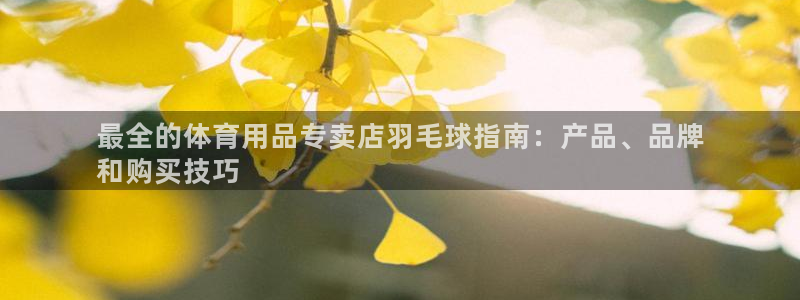 欧陆娱乐官网网址大全：最全的体育用品专卖店羽毛球指南