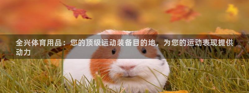 欧陆娱乐有限公司招聘：全兴体育用品：您的顶级运动装备