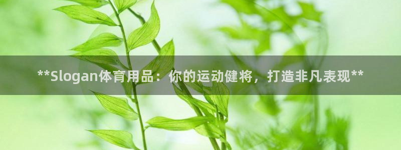 欧陆娱乐平台咋样赚钱：**Slogan体育用品：你的