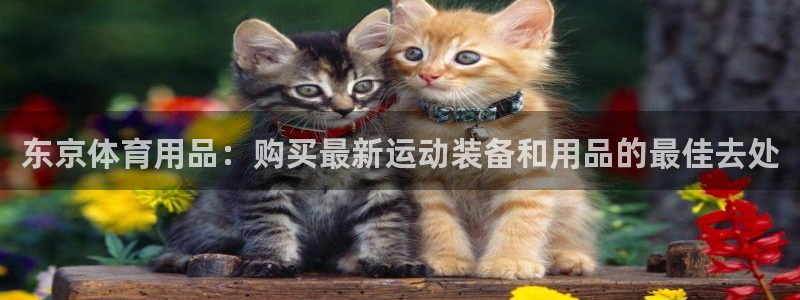 欧陆娱乐平台咋样赚钱：东京体育用品：购买最新运动装备