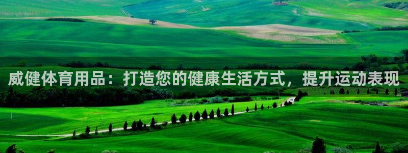 欧陆娱乐能赚钱吗：威健体育用品：打造您的健康生活方式