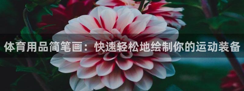 欧陆娱乐测试：体育用品简笔画：快速轻松地绘制你的运动