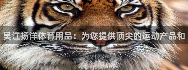 欧陆娱乐登录平台：吴江扬洋体育用品：为您提供顶尖的运