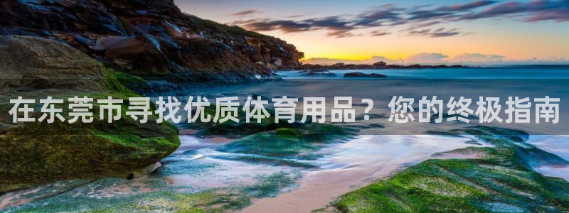 欧陆娱乐登陆官网入口：在东莞市寻找优质体育用品？您的