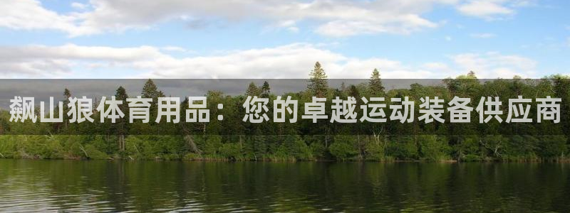欧陆娱乐平台登录不上怎么办：飙山狼体育用品：您的卓越