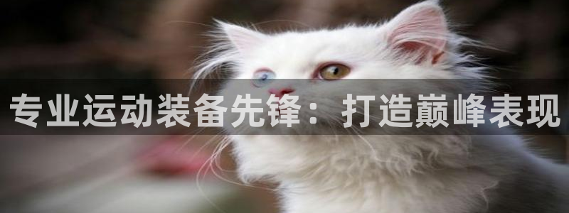 欧陆娱乐注册链接怎么弄的：专业运动装备先锋：打造巅峰