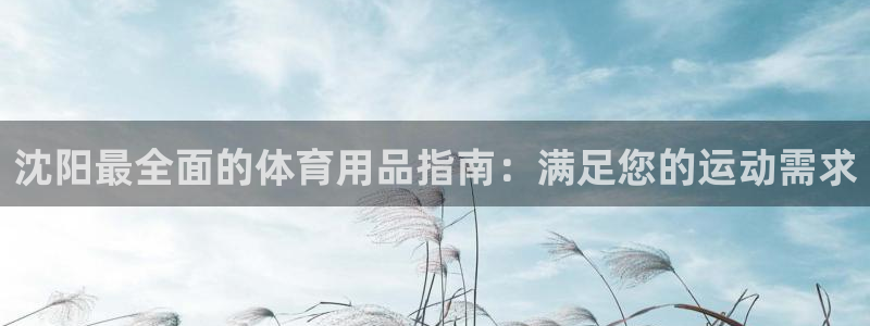 欧陆娱乐官网入口：沈阳最全面的体育用品指南：满足您的